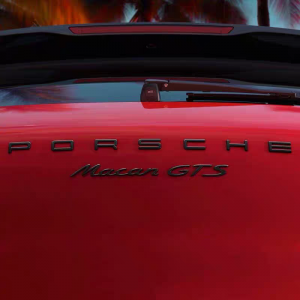 Емблема GTS black