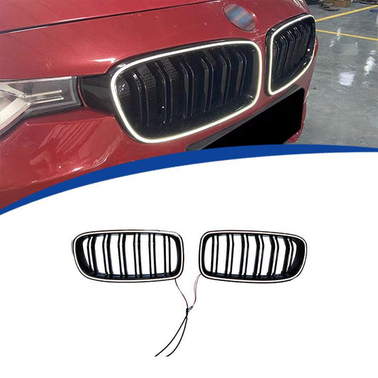 Светещи бъбреци за F30
